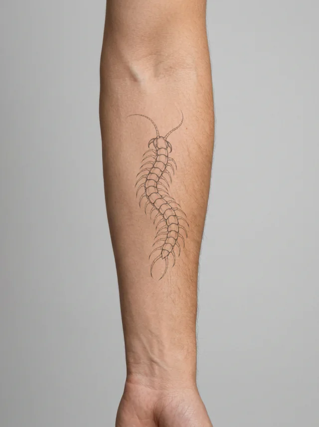 Descending Centipede Tattoo on-skin preview