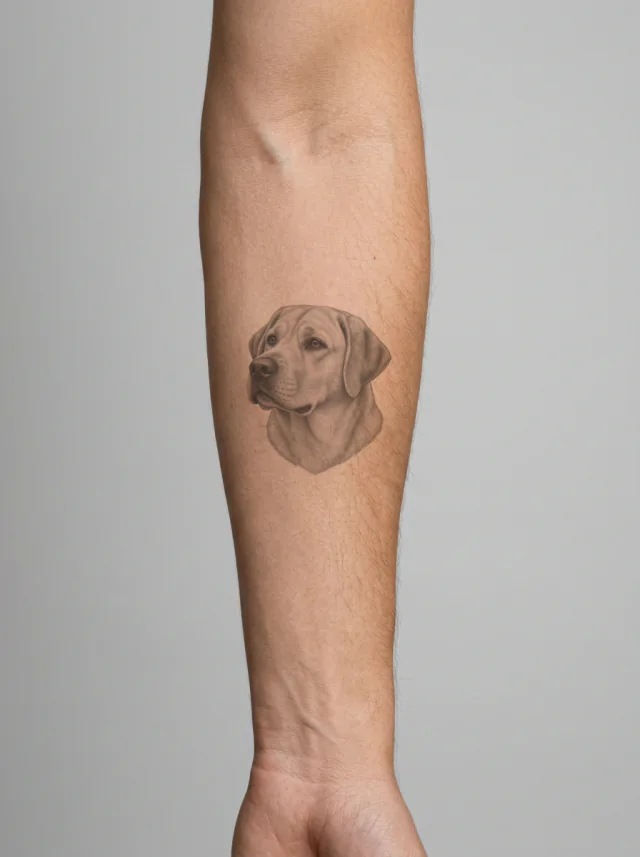 Micro Realism Labrador Retriever Tattoo on-skin preview