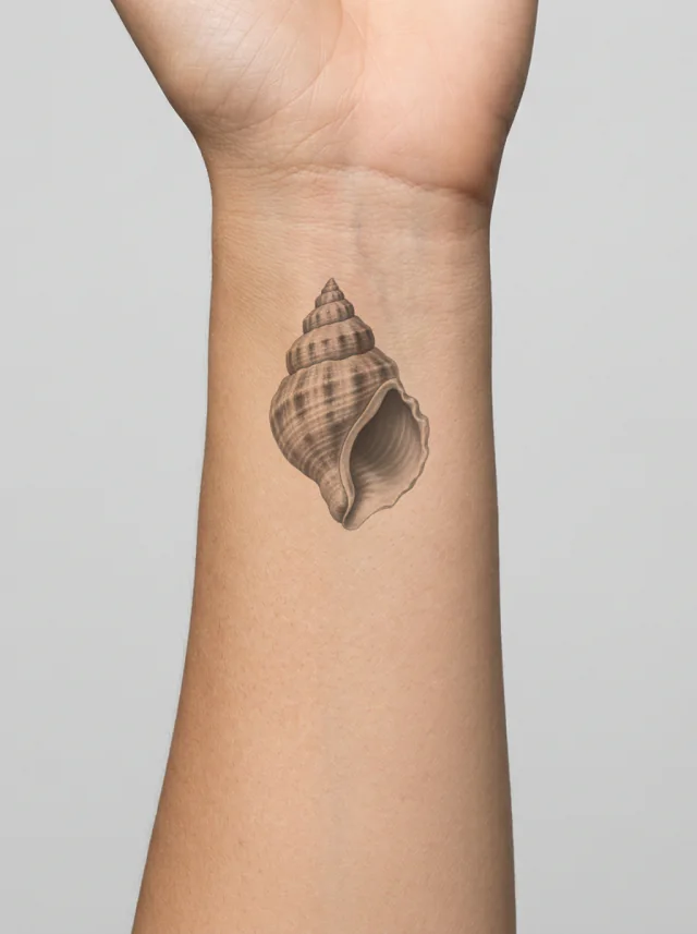 Tatuagem de concha no pulso, aplicada na pele