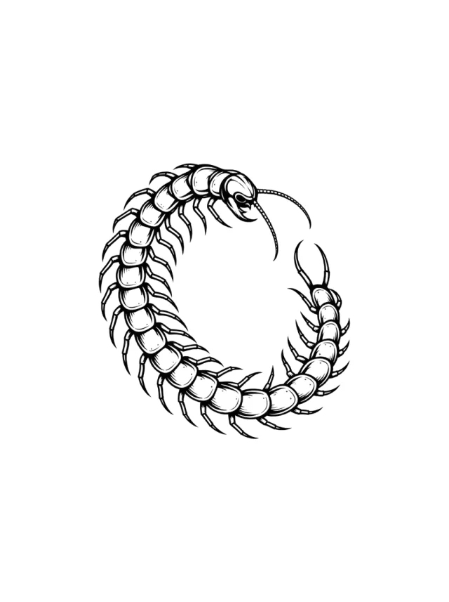 Open Loop Centipede Tattoo clean design