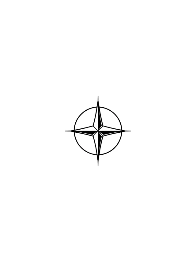 Fine Line Compass Inner Wrist Tattoo clean design