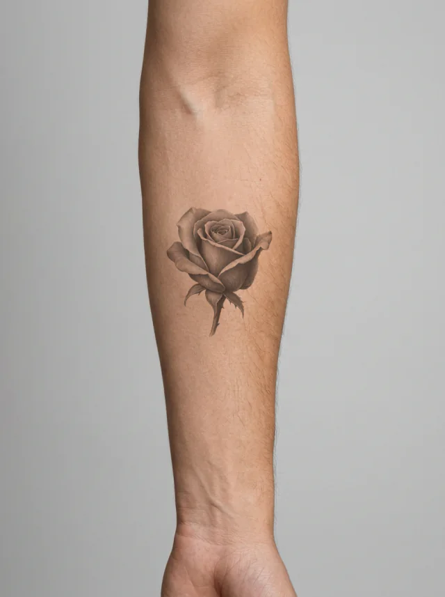 Tatuagem de rosa no braço, aplicada na pele