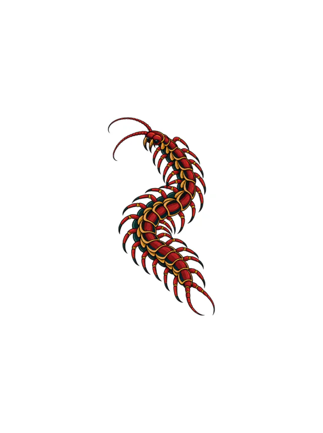 Centipede Red Black Tattoo clean design