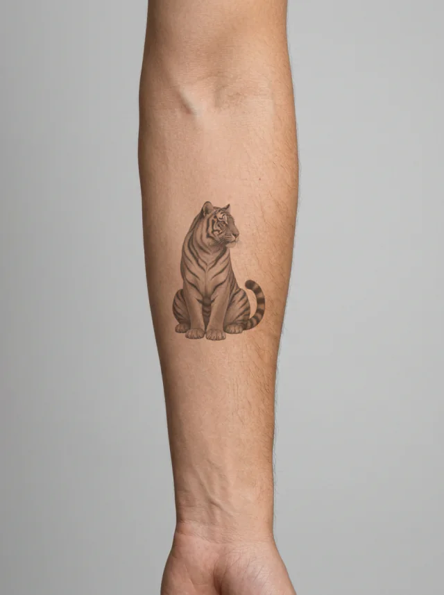 Seated Black and Grey Micro Realism Tiger Tattoo on-skin preview