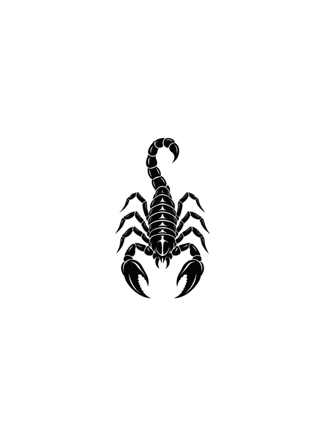 Blackwork Scorpion Inner Forearm Tattoo clean design