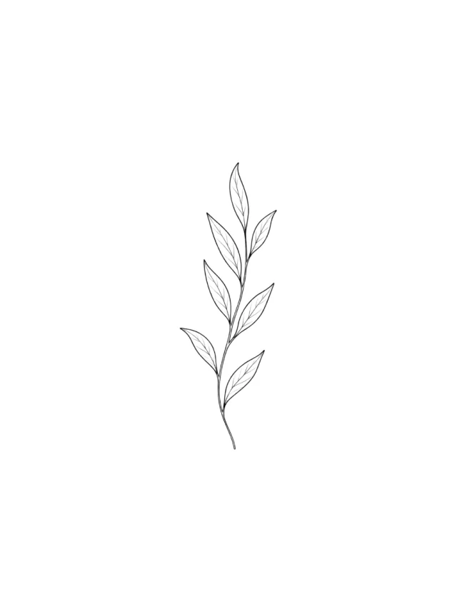 Tatuagem de ramo de oliveira no braço, desenho limpo