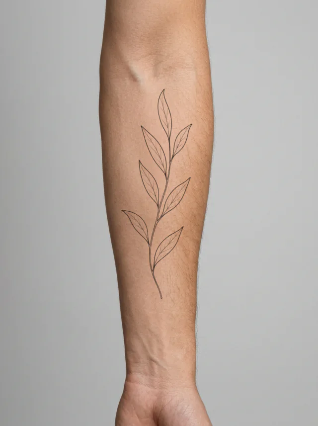 Tatuagem de ramo de oliveira no braço, aplicada na pele