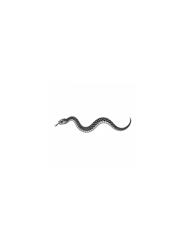 Blackwork Snake Lower Back Tattoo clean design