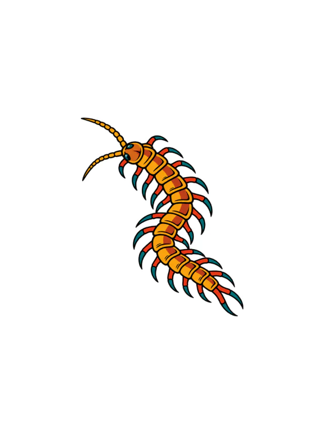 Amber Centipede Tattoo clean design