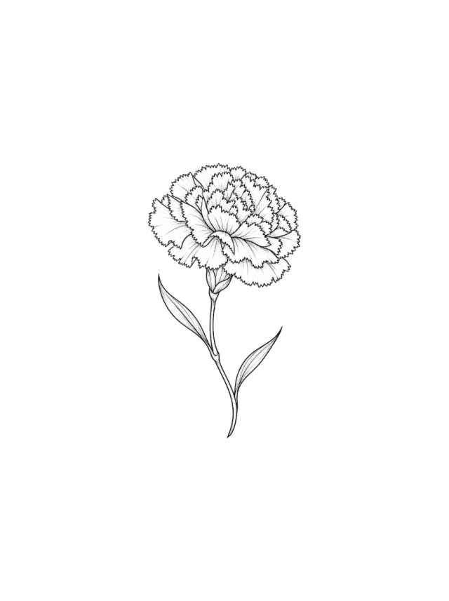 Carnation Curved Stem Tattoo clean design