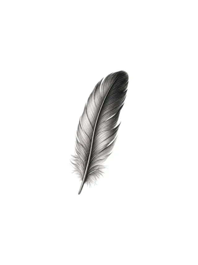 Tatuagem de pena no braço, desenho limpo