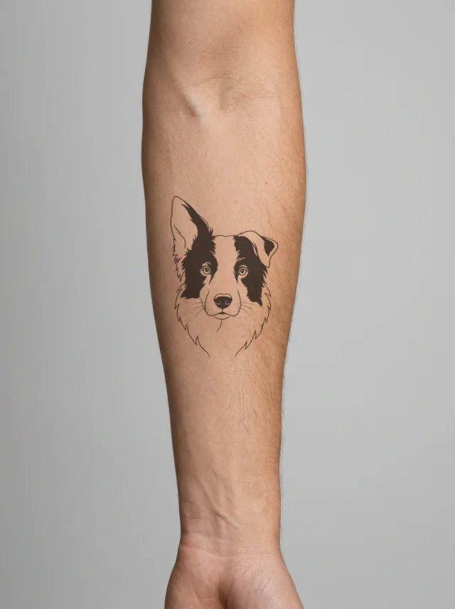 Fine Line Border Collie Tattoo on-skin preview