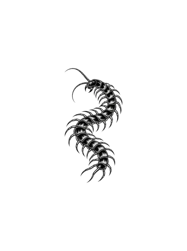 S-Curve Centipede Tattoo clean design