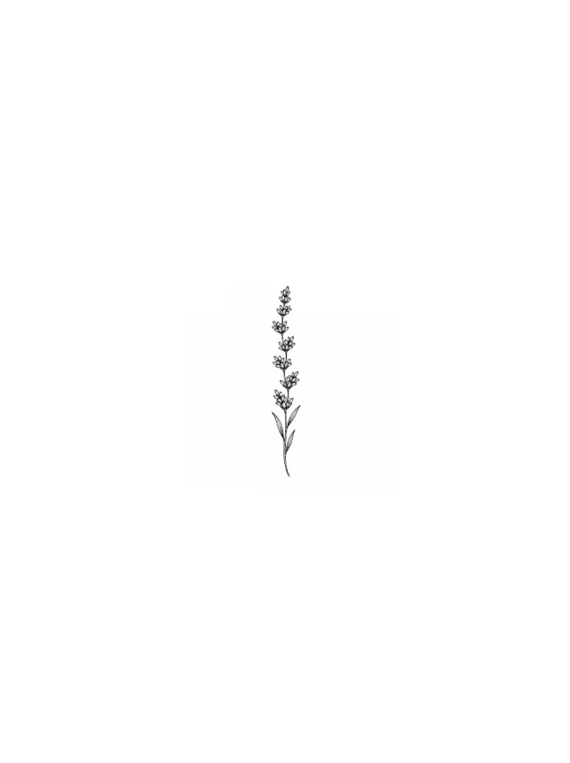 Minimalist Lavender Hip Tattoo clean design