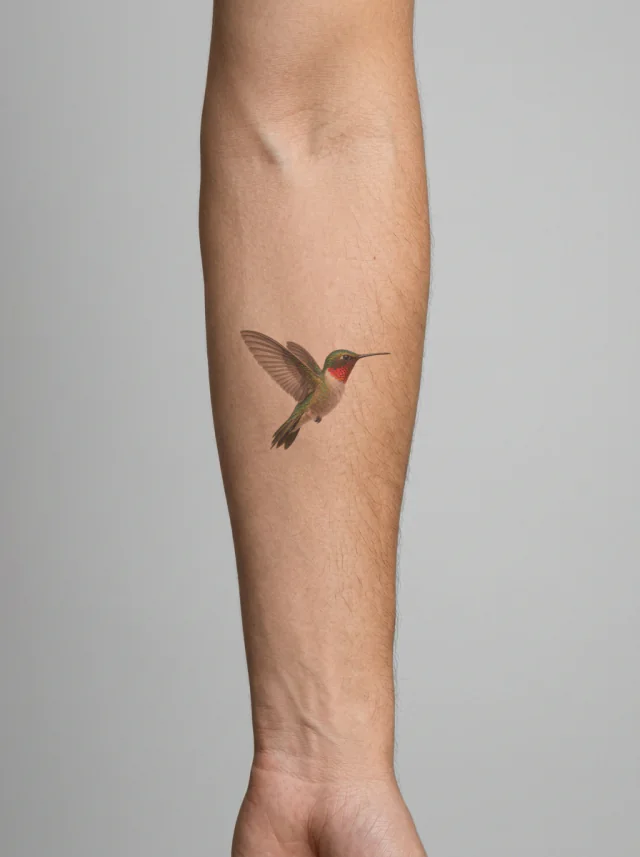 Exactly one hummingbird hovering in side profile, no flower or scenery Tattoo on-skin preview