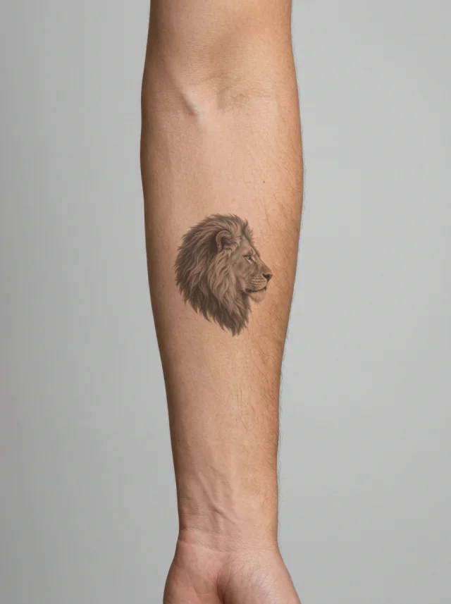 Tatuagem de leão no braço, aplicada na pele