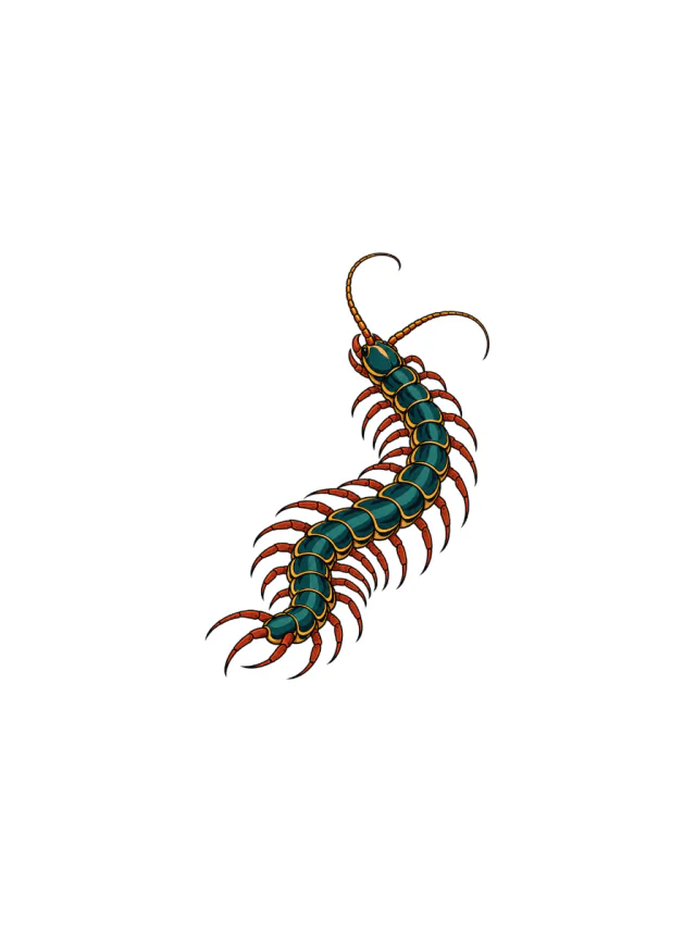Centipede Teal Tattoo clean design