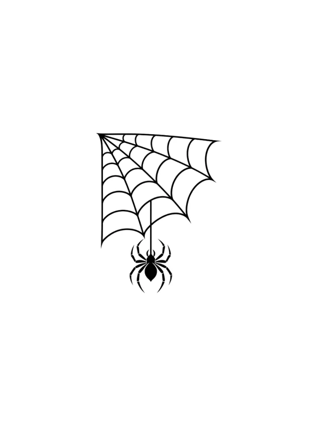 Blackwork Spider Web Shoulder Tattoo clean design