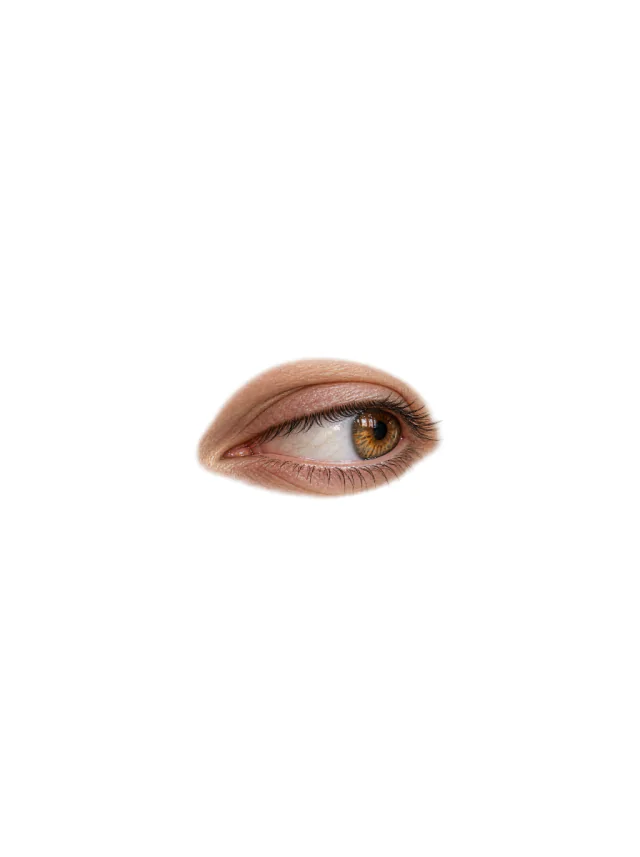 Amber Iris Micro-Realism Eye Tattoo clean design