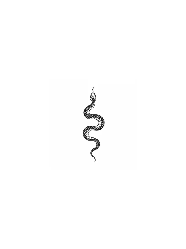 Blackwork Snake Hip Tattoo clean design