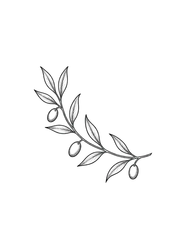 Fine Line Olive Branch Forearm Tattoo clean design