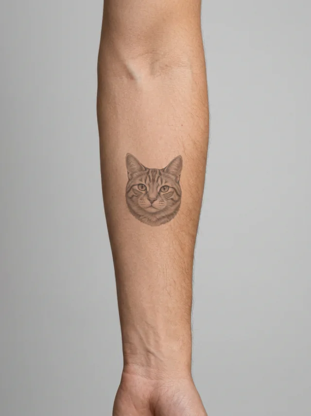 Black and Grey Orange Tabby Tattoo on-skin preview