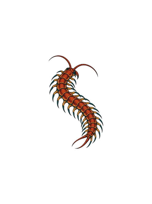 Rust Centipede Tattoo clean design