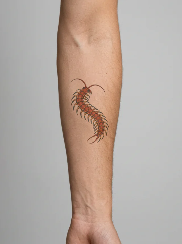 Rust Centipede Tattoo on-skin preview