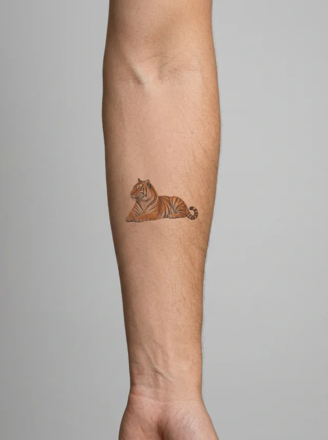 Resting Color Realism Tiger Forearm Tattoo on-skin preview