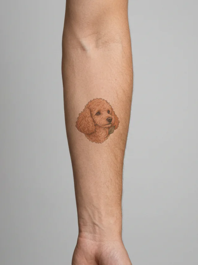Illustrative Poodle Tattoo on-skin preview