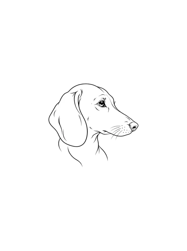 Fine Line Dachshund Tattoo clean design