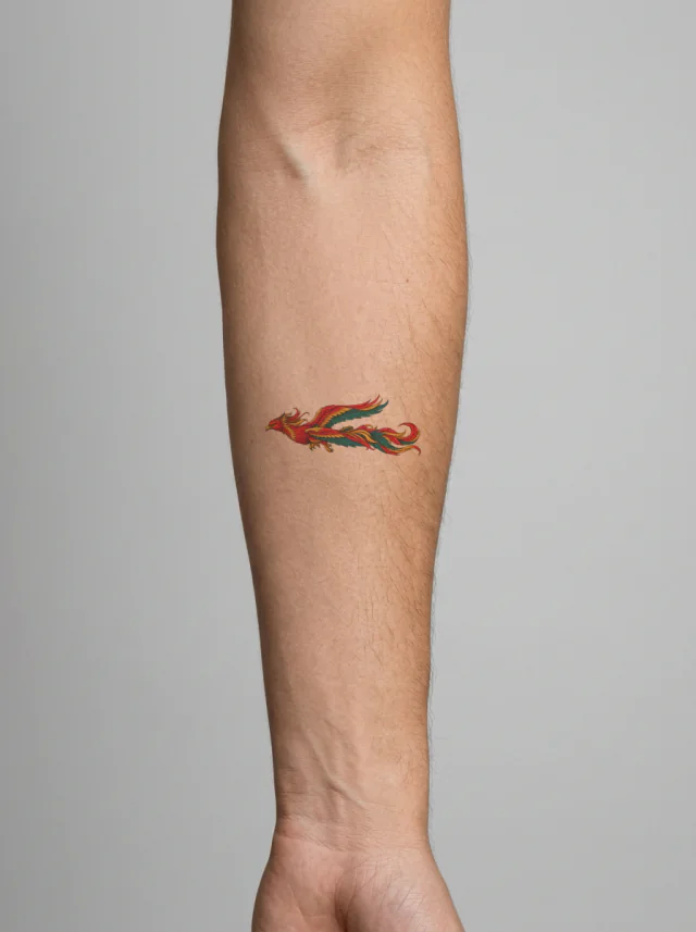 Colorful Gliding Phoenix Forearm Tattoo on-skin preview