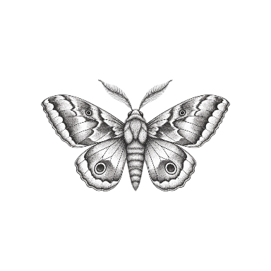 Dotwork Moth Sternum Tattoo planner element
