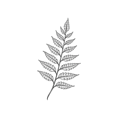 Minimalist Fern Forearm Filler Tattoo planner element