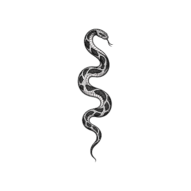 Blackwork Snake Spine Tattoo planner element
