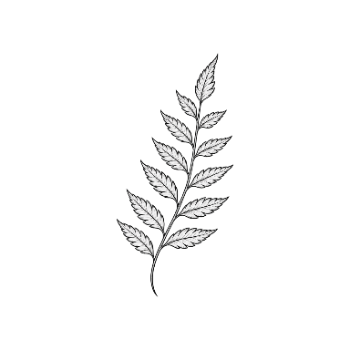 Minimalist Fern Ankle Tattoo planner element
