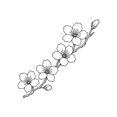 Cherry Blossom Diagonal Stem Tattoo planner element