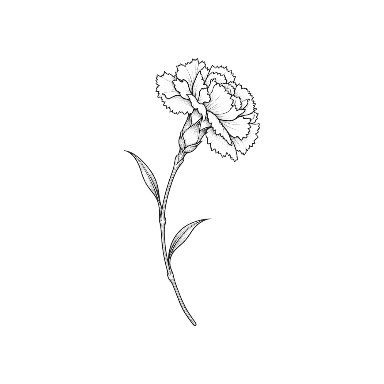 Carnation Long Stem Tattoo planner element