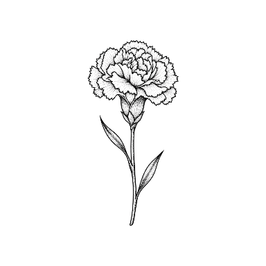 Carnation Slender Botanical Study Tattoo planner element