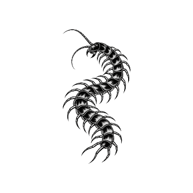 S-Curve Centipede Tattoo planner element