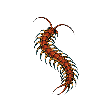Rust Centipede Tattoo planner element