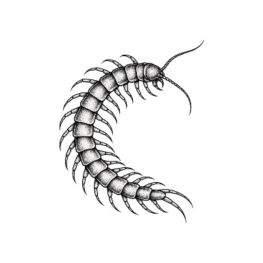 Crescent Curve Centipede Tattoo planner element