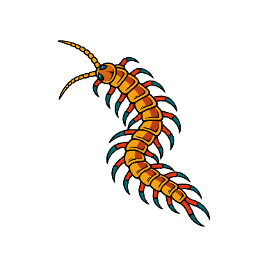 Amber Centipede Tattoo planner element
