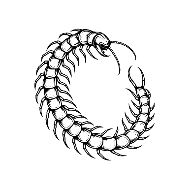 Open Loop Centipede Tattoo planner element