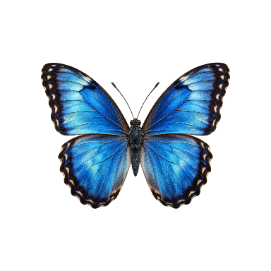 Exactly one blue butterfly with spread wings and realistic layered wing surfaces Tattoo planner element